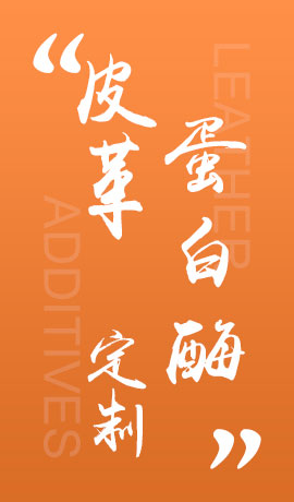 皮革蛋白酶